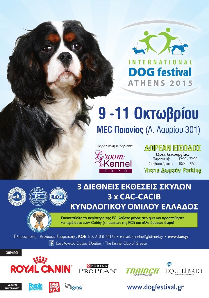 poster-dog-festival